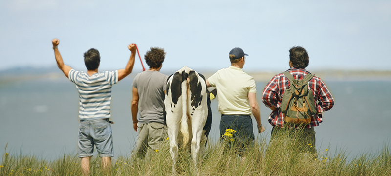 Westfalen Gas cow TVC